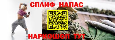a pvp Гатчина