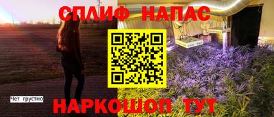 a pvp Гатчина
